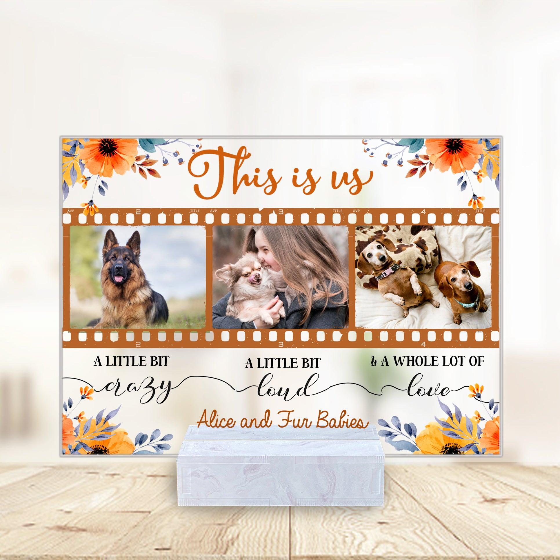 http://bmgifts.co/cdn/shop/products/film-frame-dog-photo-inserted-personalized-plaque-personalized-photo-gift-for-dog-lovers-dog-dad-dog-mom-ap017ps06-bmgifts-1-22017256063079.jpg?v=1702121038