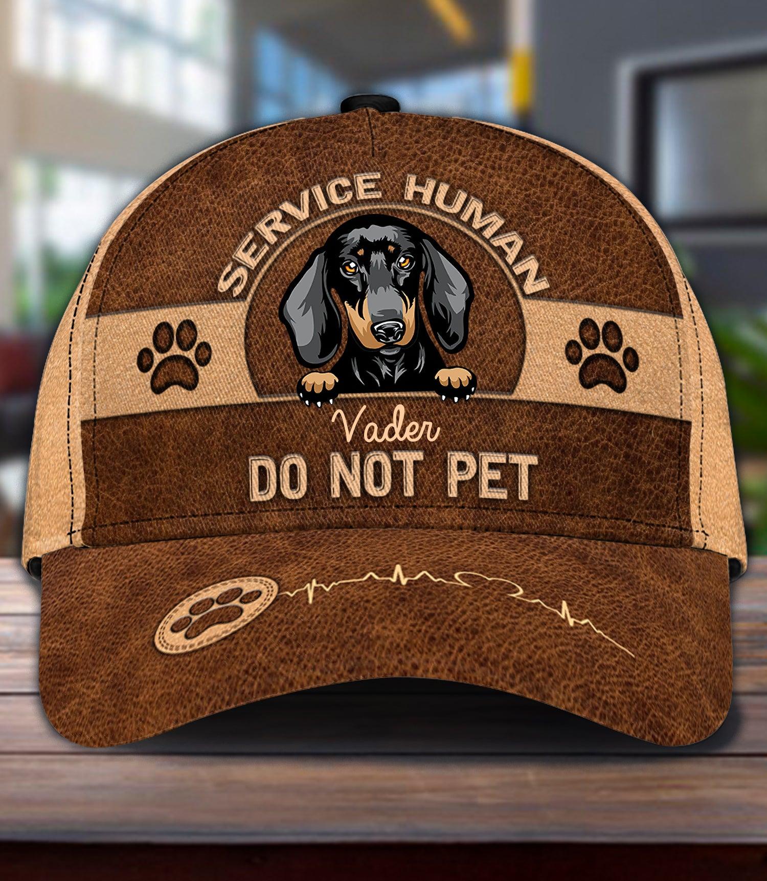 Dog baseball store hats for humans