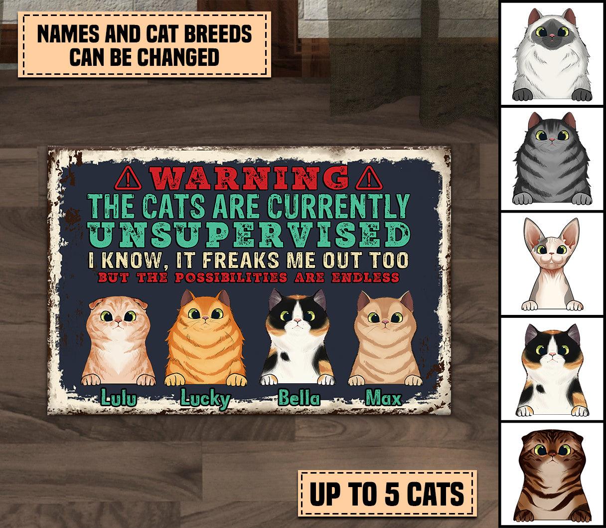 Warning Personalized Cat Doormat, Personalized Gift for Cat Lovers, Cat Mom, Cat Dad - DM003PS09 - BMGifts