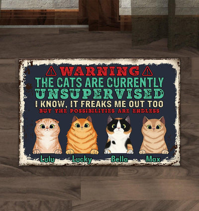 Warning Personalized Cat Doormat, Personalized Gift for Cat Lovers, Cat Mom, Cat Dad - DM003PS09 - BMGifts