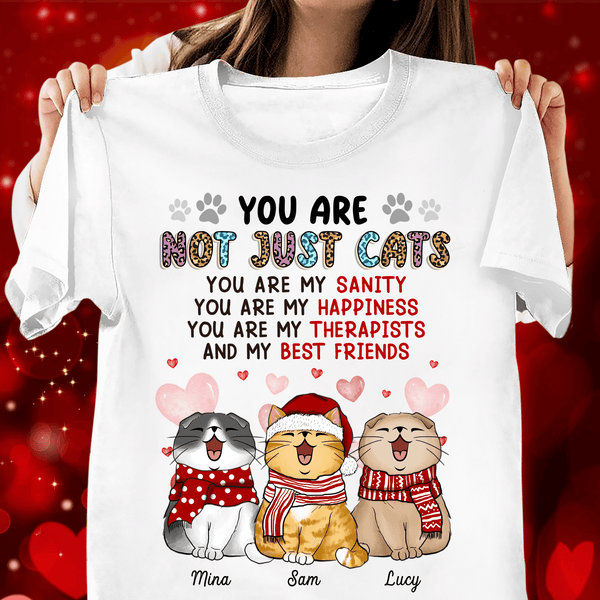 You Are Not Just Cats Cat Personalized Shirt Christmas Gift for Cat Lovers Cat Mom Cat Dad TS525PS02 BMGifts