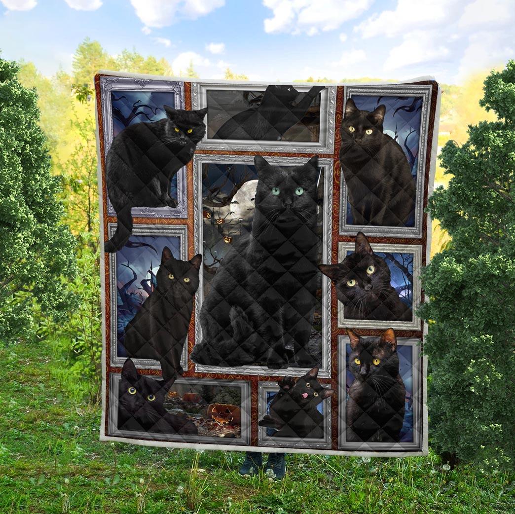 Cat Premium Blanket & Quilt, Gift for Cat Lovers, Cat Mom - QB014PA - BMGifts