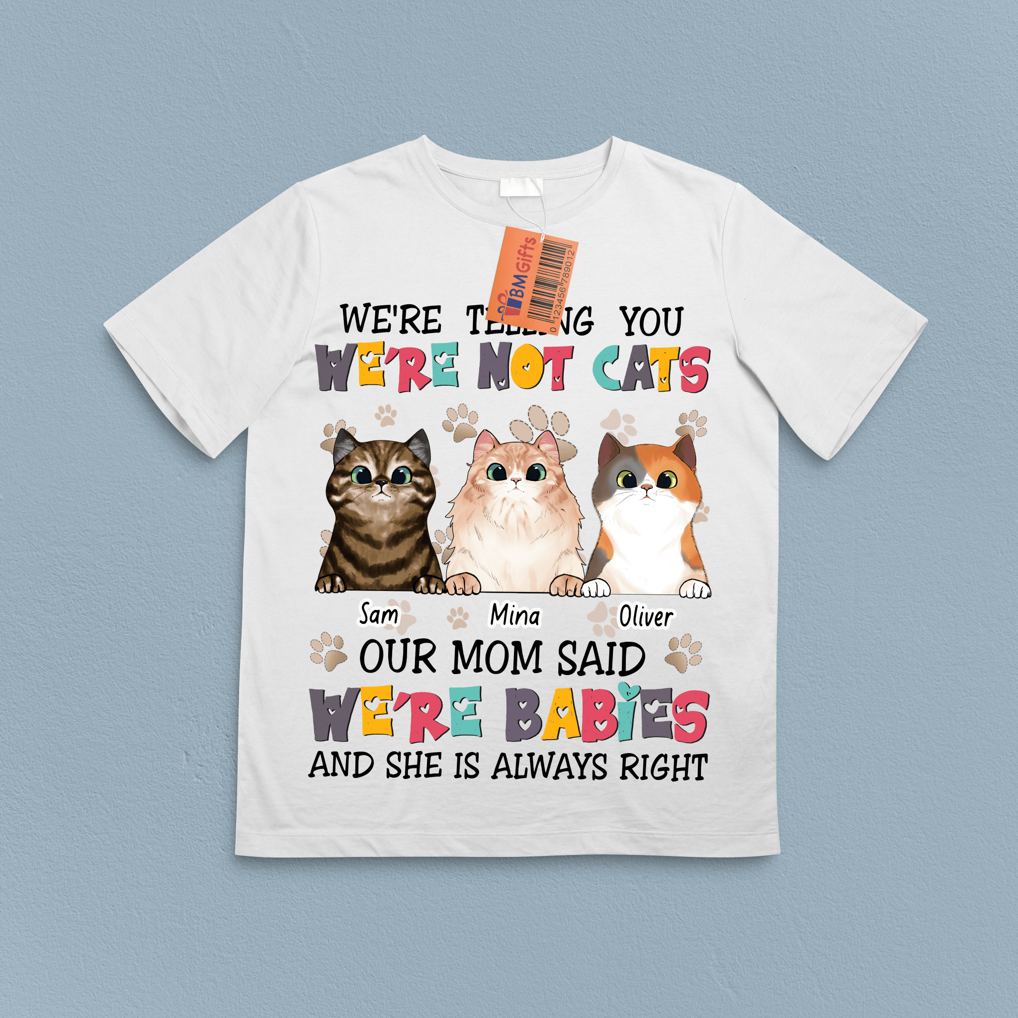 Cats Are Furry Babies Personalized T-shirt, Personalized Gift for Cat Lovers, Cat Mom, Cat Dad - TS110PS06 - BMGifts