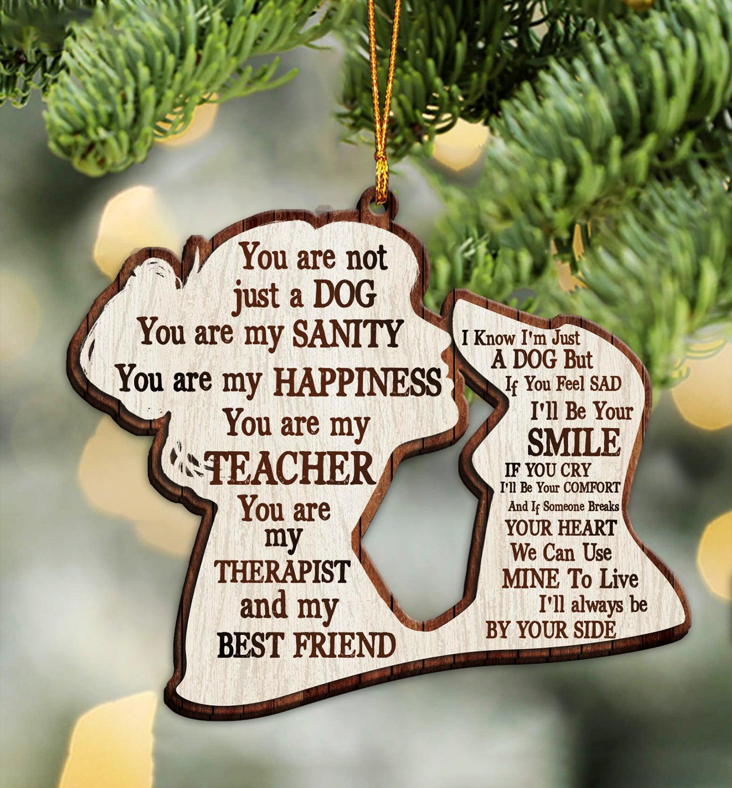 Dachshund Custom Shaped Ornament, Gift for Dachshund Lovers - WO053PA06 - BMGifts