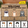 Welcome Cats Personalized Doormat, Personalized Gift for Cat Lovers, Cat Mom, Cat Dad - DM001PS - BMGifts