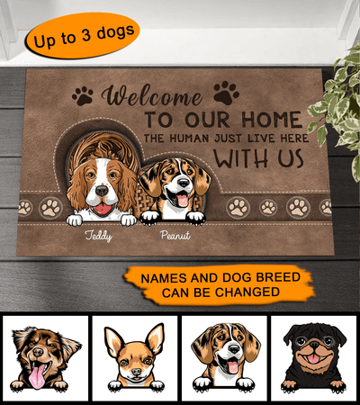Welcome To Our Dog Home Personalized Doormat, Personalized Gift for Dog Lovers, Dog Dad, Dog Mom - DM044PS - BMGifts